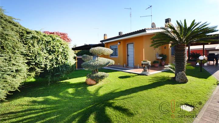 Ti consigliamo anche